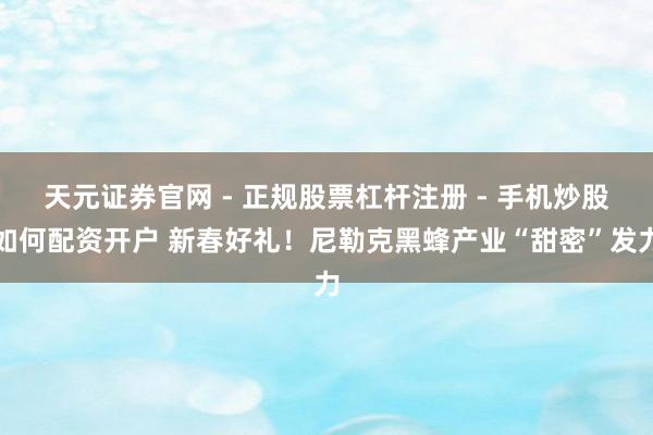 天元证券官网 - 正规股票杠杆注册 - 手机炒股如何配资开户 新春好礼！尼勒克黑蜂产业“甜密”发力